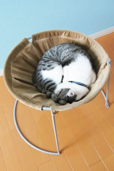 Гамак для кошки с рамой — лист 4